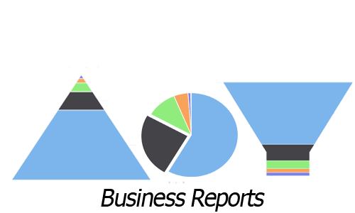 Custom business reports
